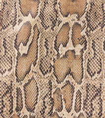 Bold Impression Snake Print Wrap Skort